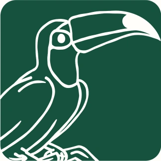 Ilustração de tucano